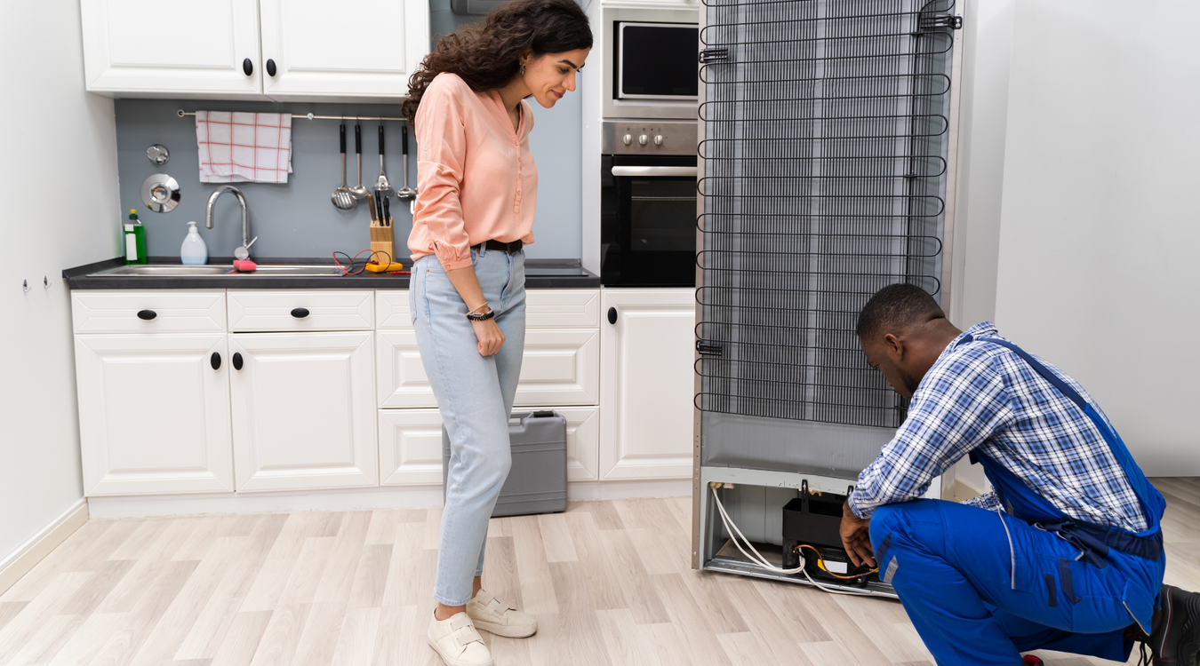 Refrigerator Repair